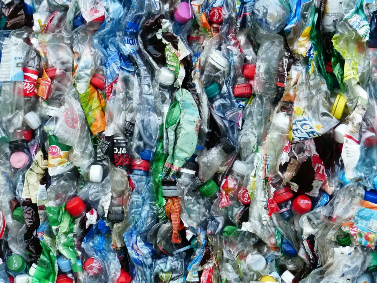 Пластику — нет! <br>Что может сделать житель мегаполиса в борьбе за экологию